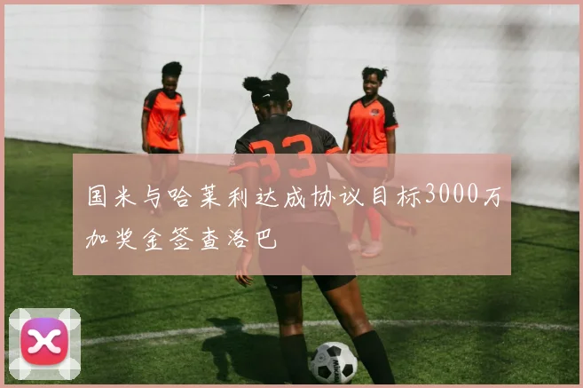 国米与哈莱利达成协议目标3000万加奖金签查洛巴